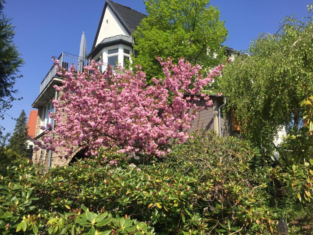 Ferienwohnung Burkhardt Meißen Exteriör bild